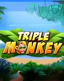 RTP Slot Situs Slot Arena333